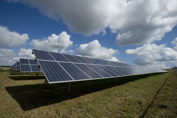 Ground-mounted solar panel array