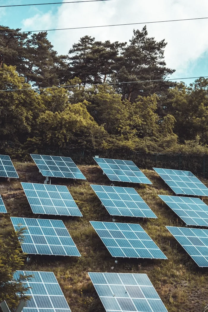 Solar panels installed on a hillside